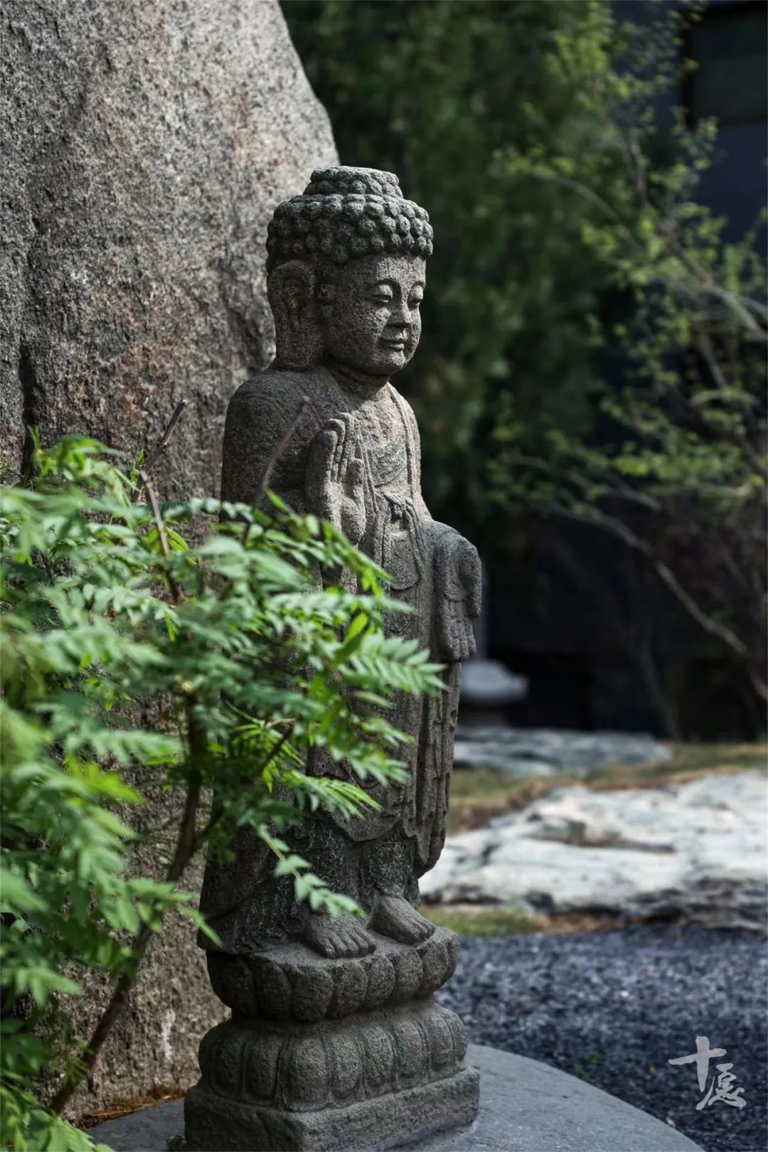 扶风孔雀寺的由来图片