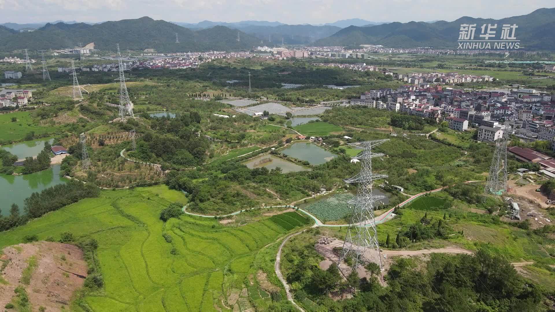 浙江东阳：电网施工“不断电”迎峰度夏护清凉