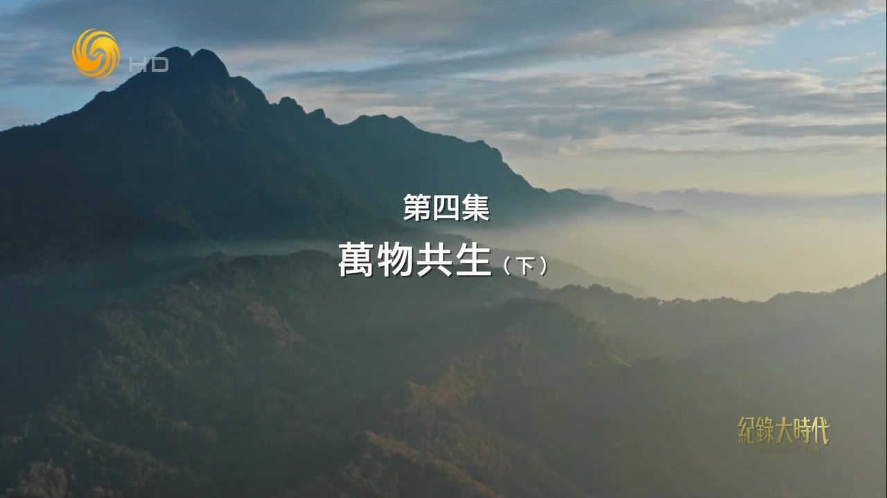 中国海南·雨林秘境：万物共生（下）