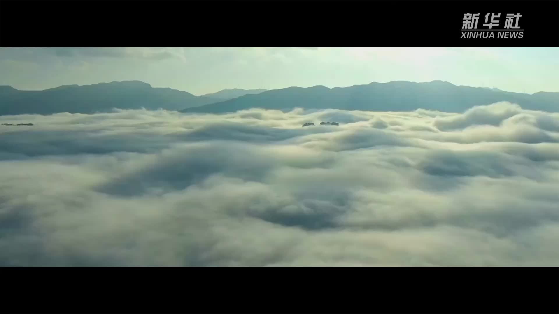 三线建设者张敏：“在深山老林里建起了一座新型的城市”