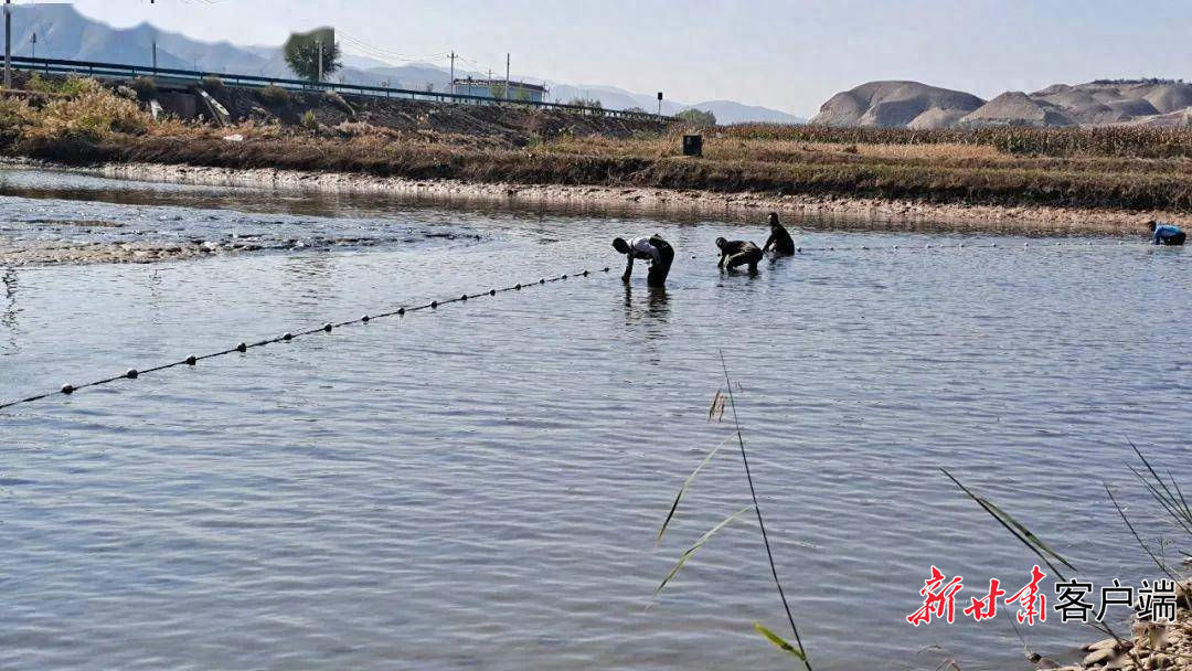 靖远县探索“以渔治碱”的新路子