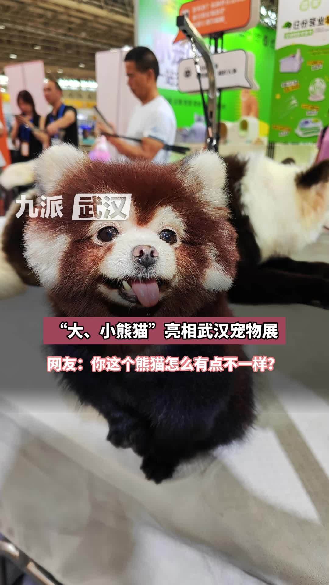 摊主给狗狗画“熊猫妆”：网友：你这个“熊猫”怎么“狗里狗气”的？