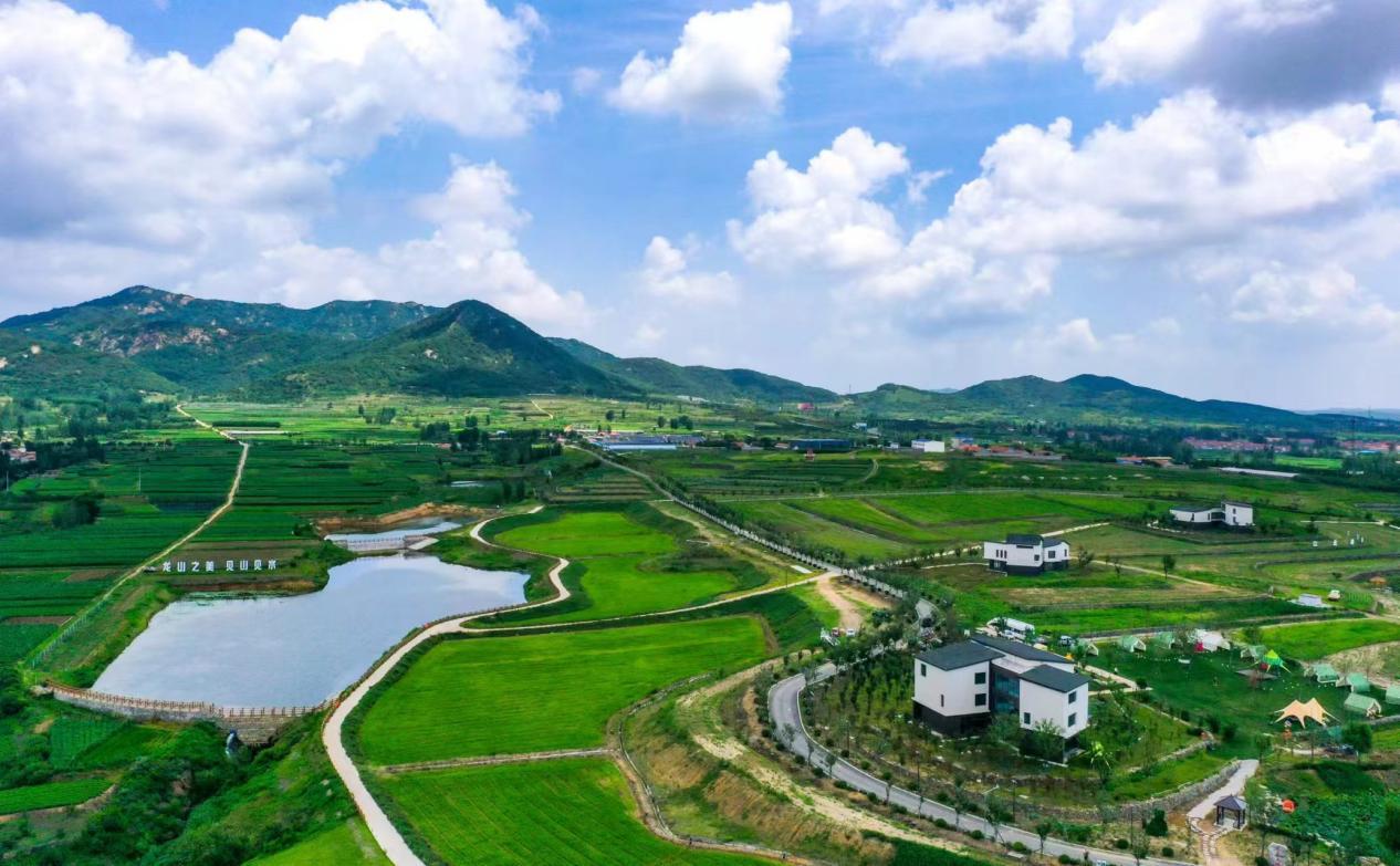 碧绿的原野,如同一幅宁静而生机勃勃的画卷。叶连俊 摄