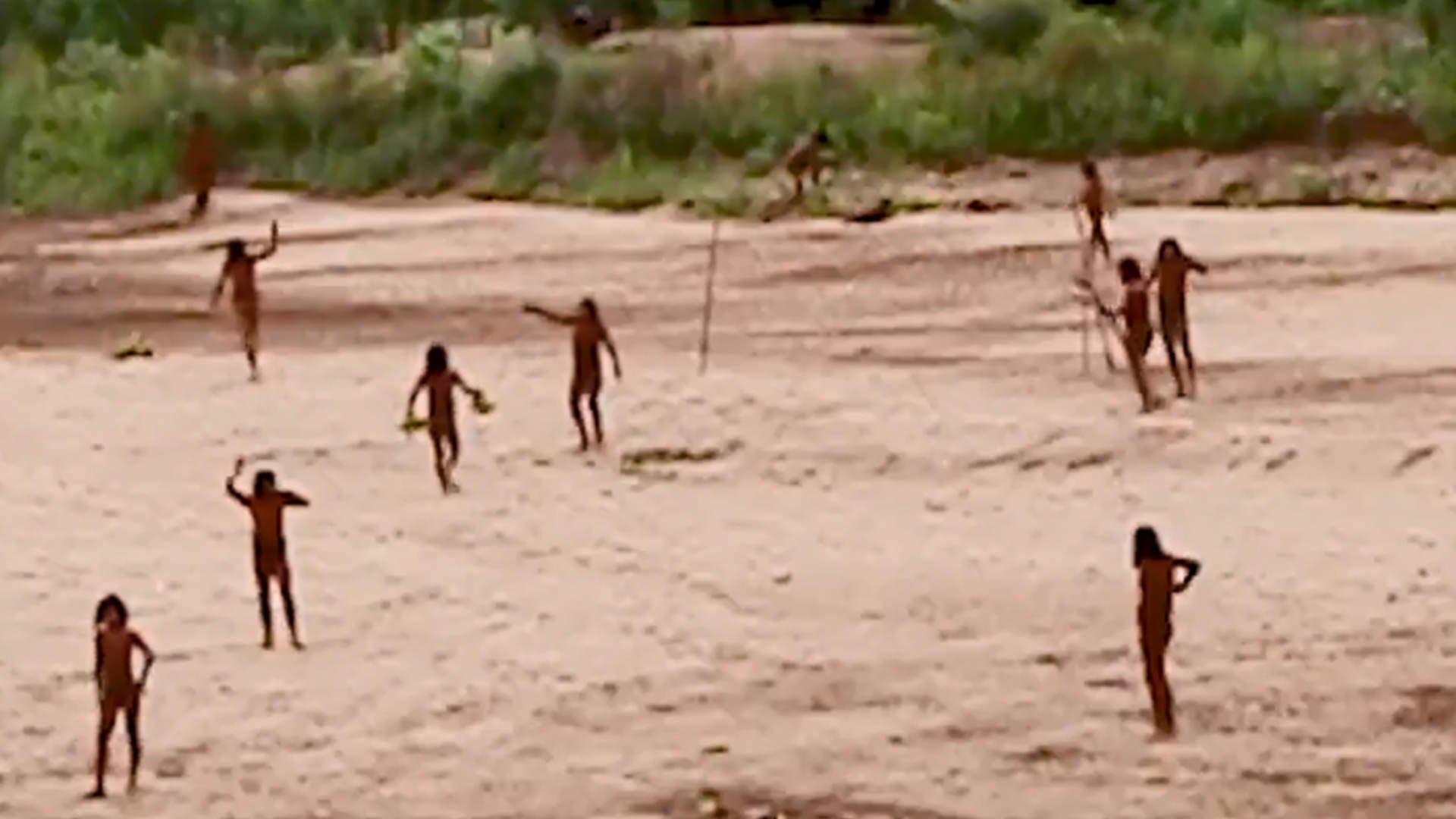 罕见画面曝光！为躲避伐木者，秘鲁原始部落被迫露面