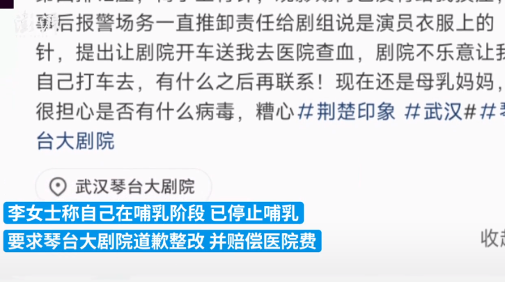 网友称“看演出遭座位针扎” 武汉琴台大剧院回应