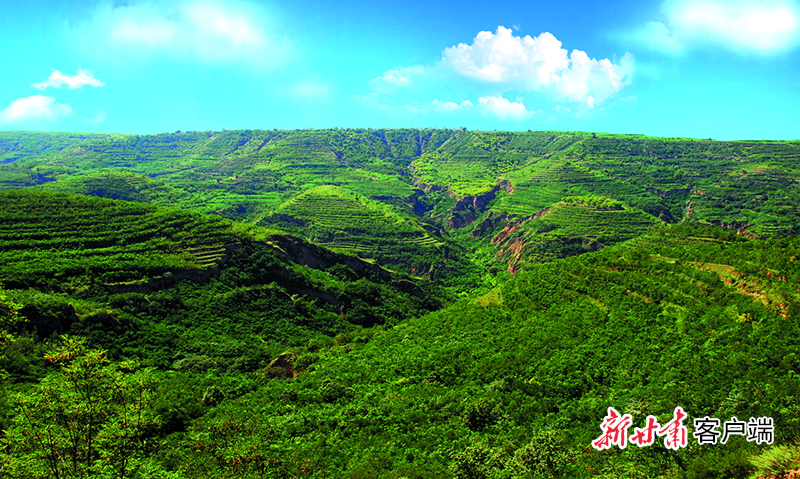 泾川县官山林场