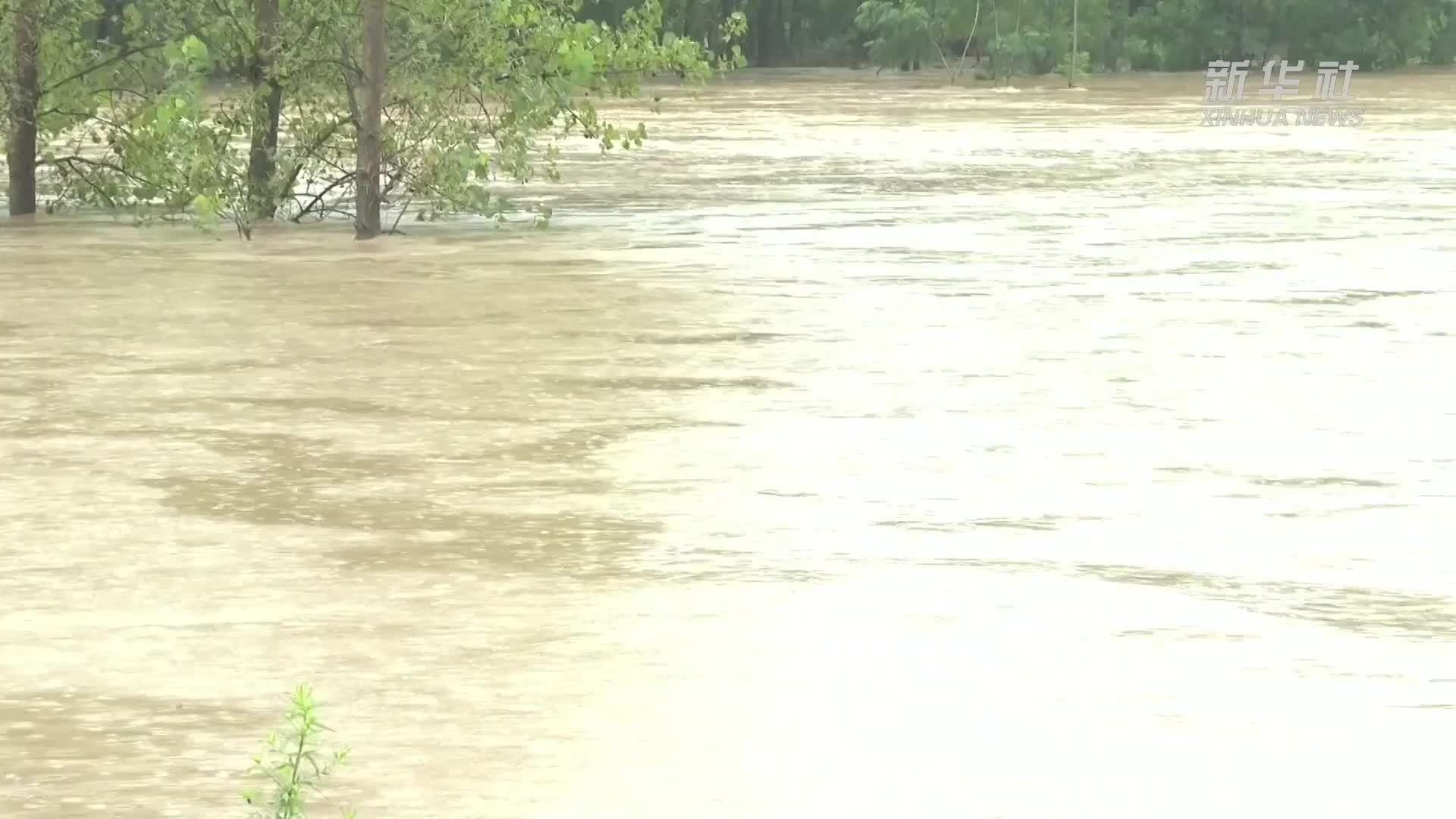 河南南阳遭遇极端强降雨 多方力量开展抢险救援_凤凰网视频_凤凰网