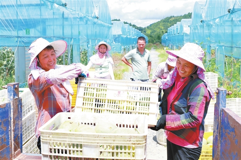 安远县：打造大湾区“果园子”（图）