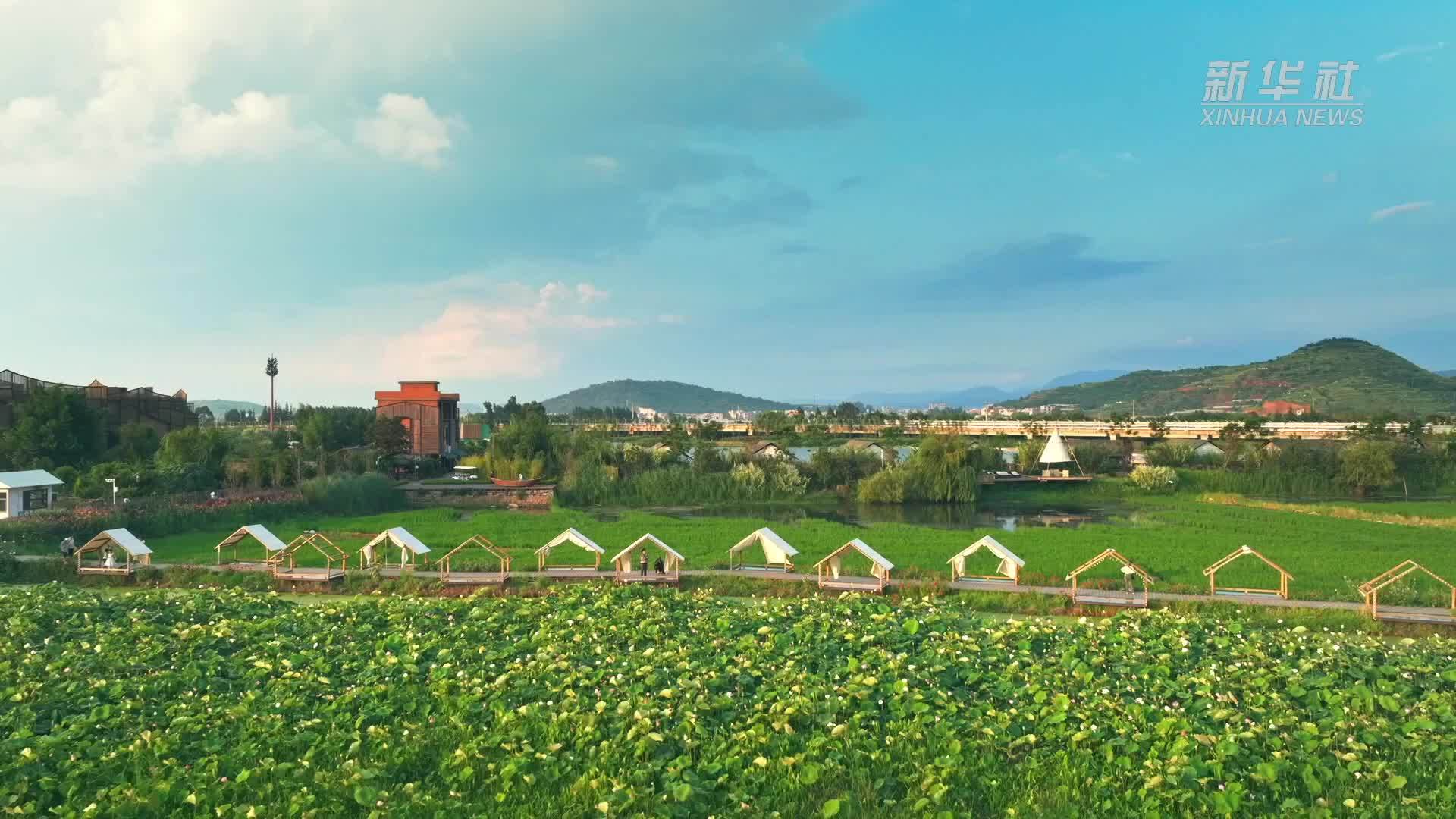 昆明晋宁文旅名片"小渔村"盛夏荷花争艳_凤凰网视频_凤凰网