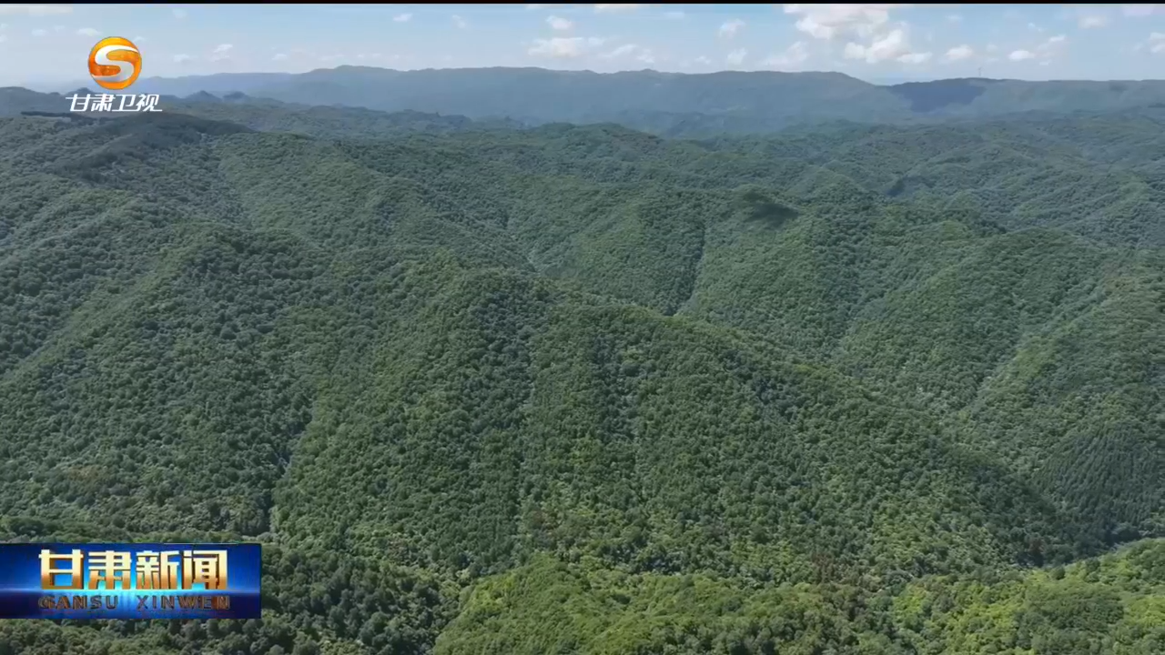 几代人啃窝头住窑洞荒山植绿　50年造就万亩林海