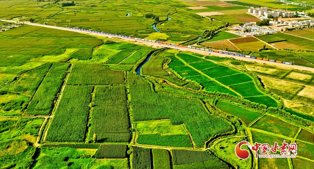 祁连山下沃野平畴生机盎然