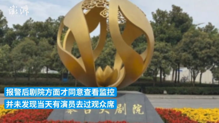 网友称“看演出遭座位针扎” 武汉琴台大剧院回应