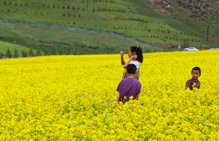 小朋友在油菜花海中赏花游玩