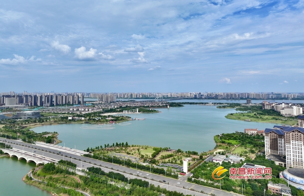 南昌九龙湖湿地公园的满眼绿意 碧波澄澈（图）