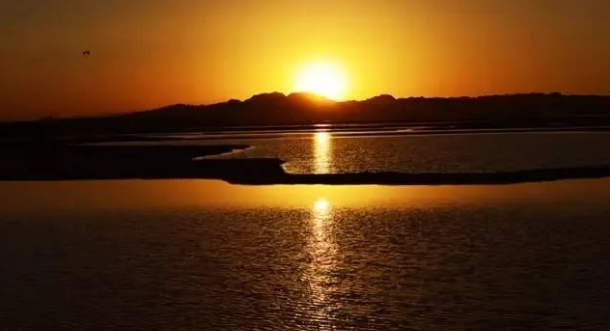 民勤沙漠雕塑国际创作营