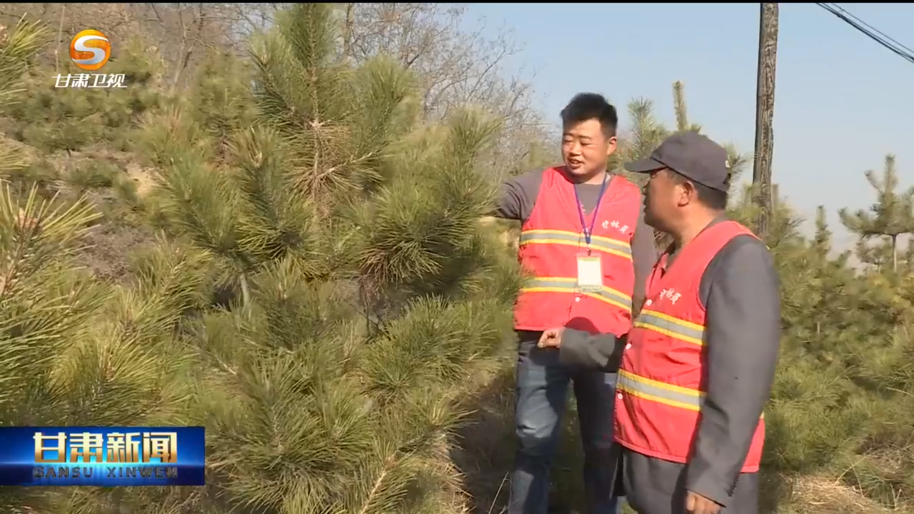 几代人啃窝头住窑洞荒山植绿　50年造就万亩林海