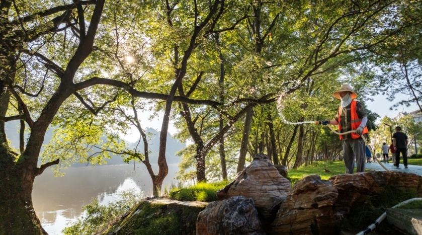 工人在护理河湖绿地