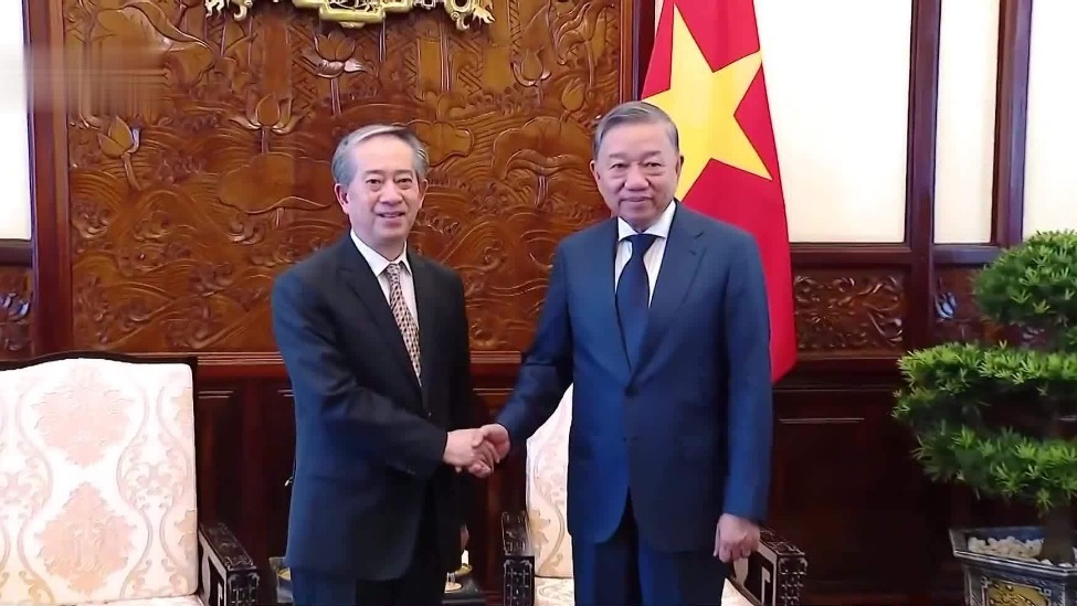 越南国家主席苏林接受中国驻越大使辞行拜会