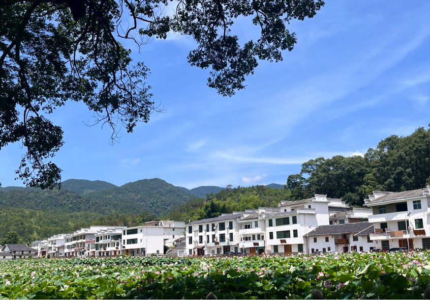秀美村图景（何红艳 摄）