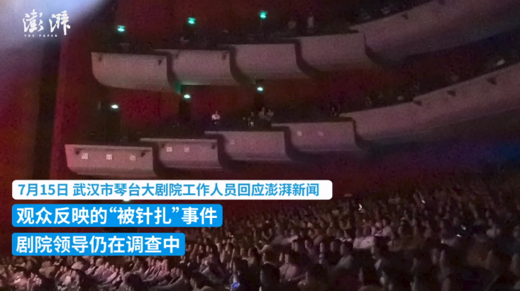 网友称“看演出遭座位针扎” 武汉琴台大剧院回应