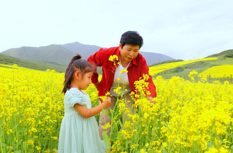 家长带着孩子观赏、了解油菜花如何生长，共享美好时光。