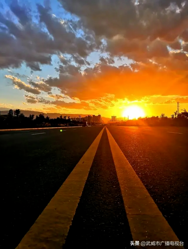 摄影:郝生元;摄影地点:凉州区二环新路。