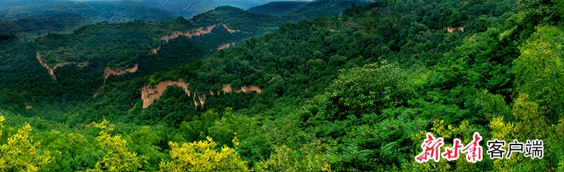 泾川县官山沟流域综合治理
