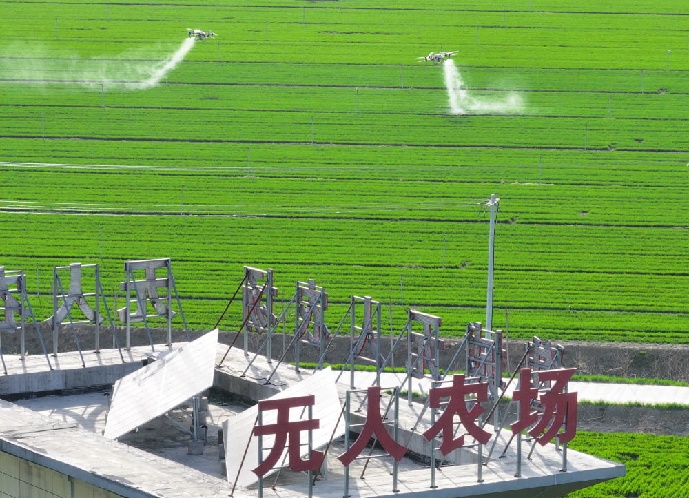 农业无人机在安徽省亳州市谯城区赵桥乡双楼村的无人农场进行自主作业（2024年3月19日摄，无人机照片。）　新华社记者　杜宇　摄