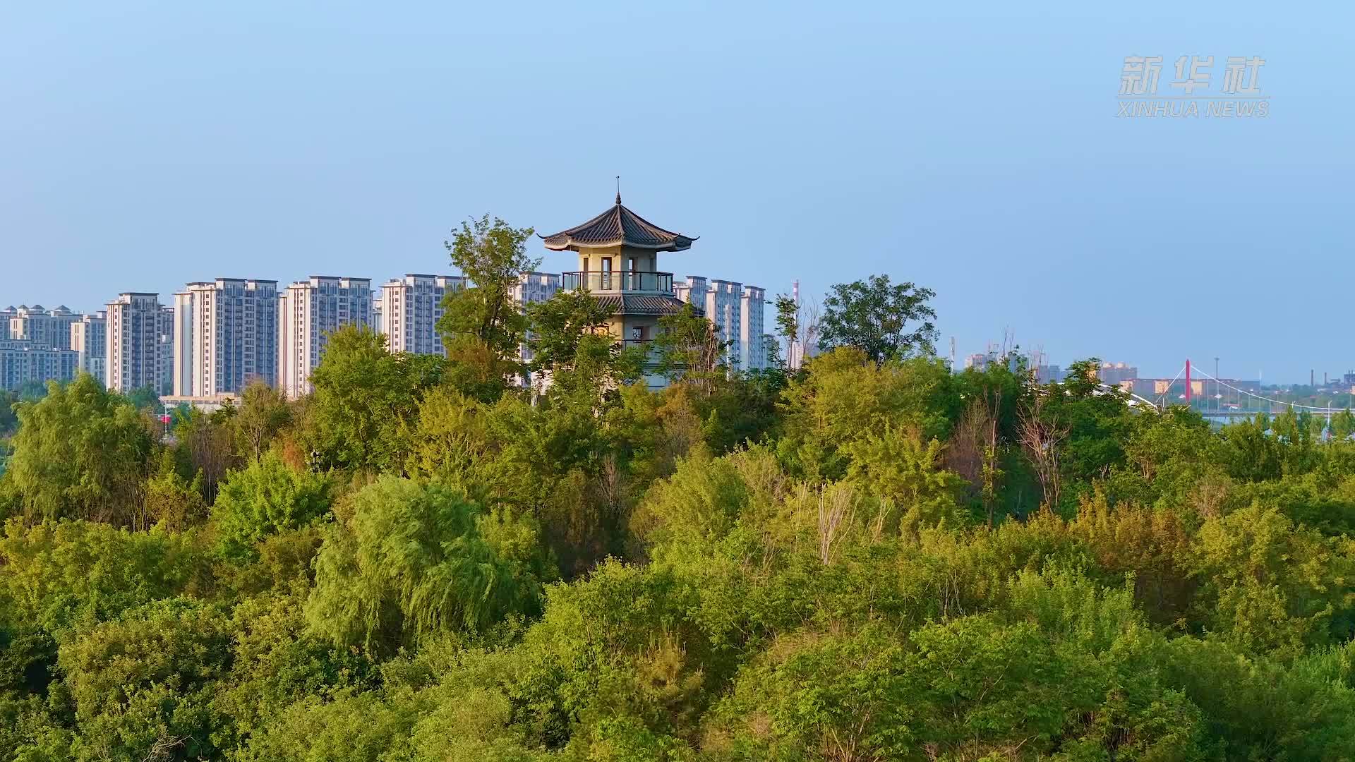 千城胜景｜山东郓城：绿意盎然 风景秀丽