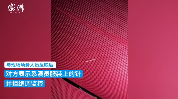 网友称“看演出遭座位针扎” 武汉琴台大剧院回应