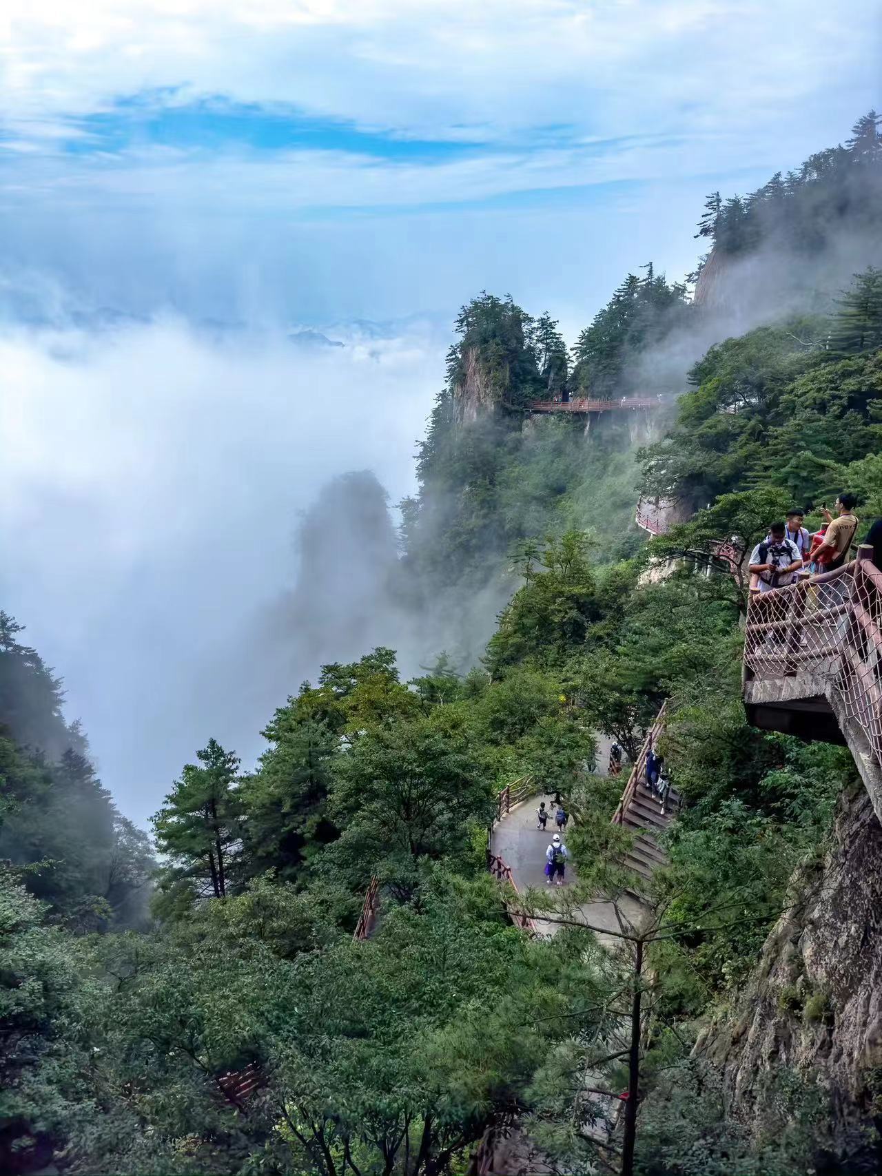 被夏天的老君山硬控了30秒