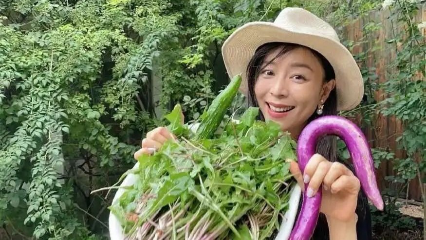 44岁张静初自曝：无性无爱住小院，守着一屋子破烂，就想做个无用的人，反而圈粉无数，是向往的生活封面图