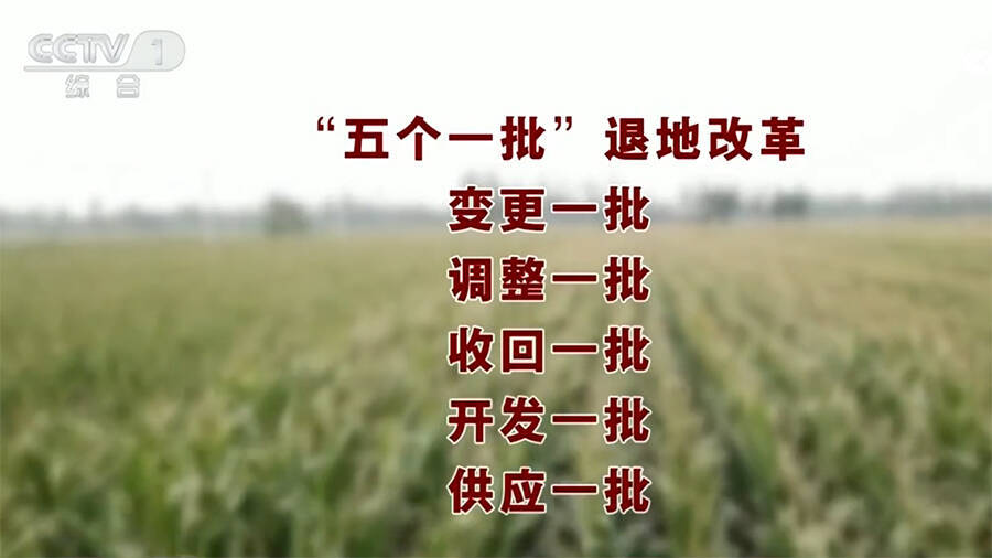 央视《晚间新闻》聚焦德州乐陵：探索“退地”改革 拓展“新空间”凤凰网山东_凤凰网