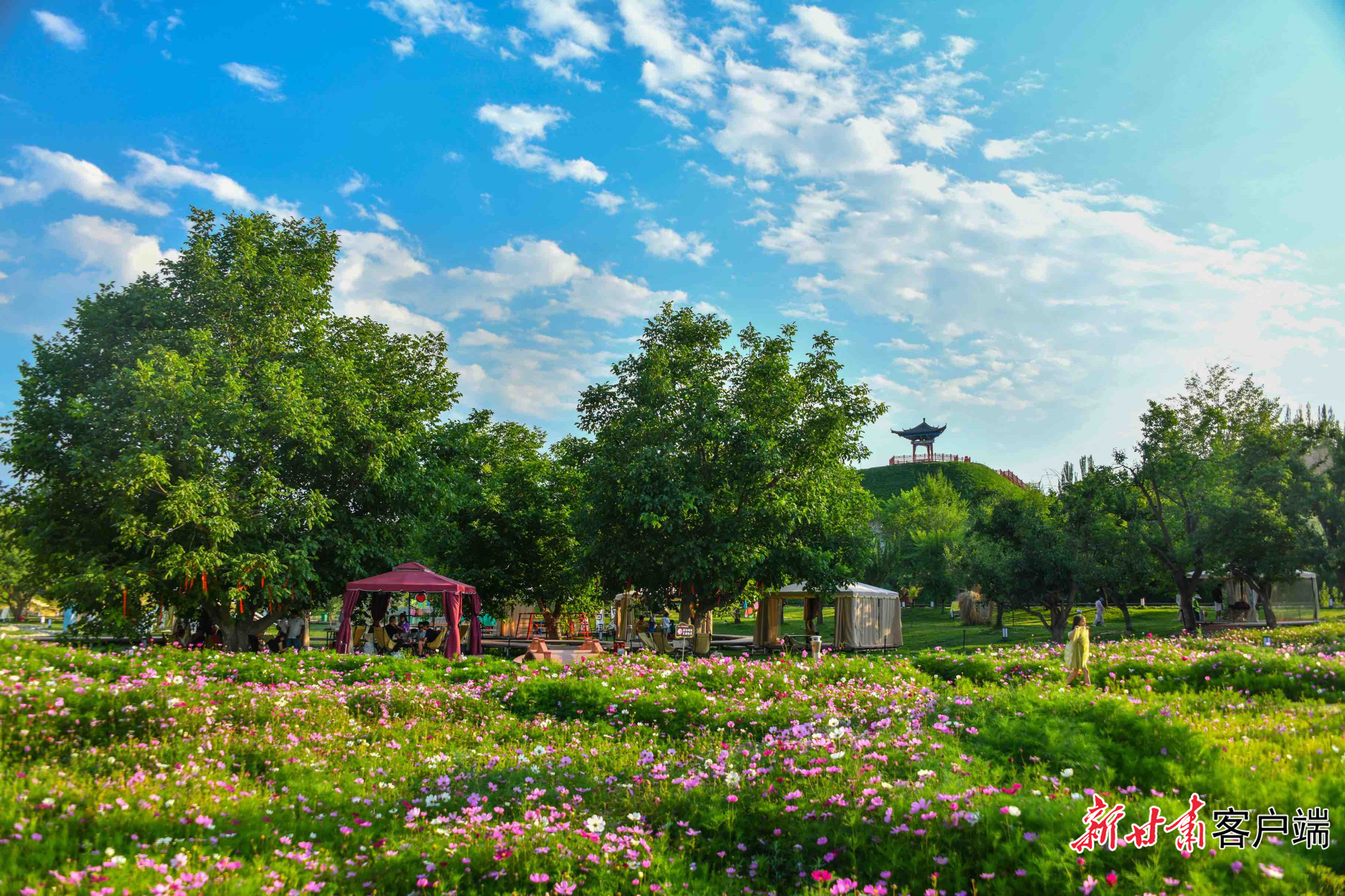 史喇口乡村旅游景区繁花似锦,美不胜收。新甘肃·兰州新区报记者 罗晋业 摄