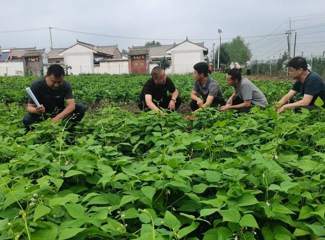 华亭“摸底”种质资源　科技助力走“芯”了