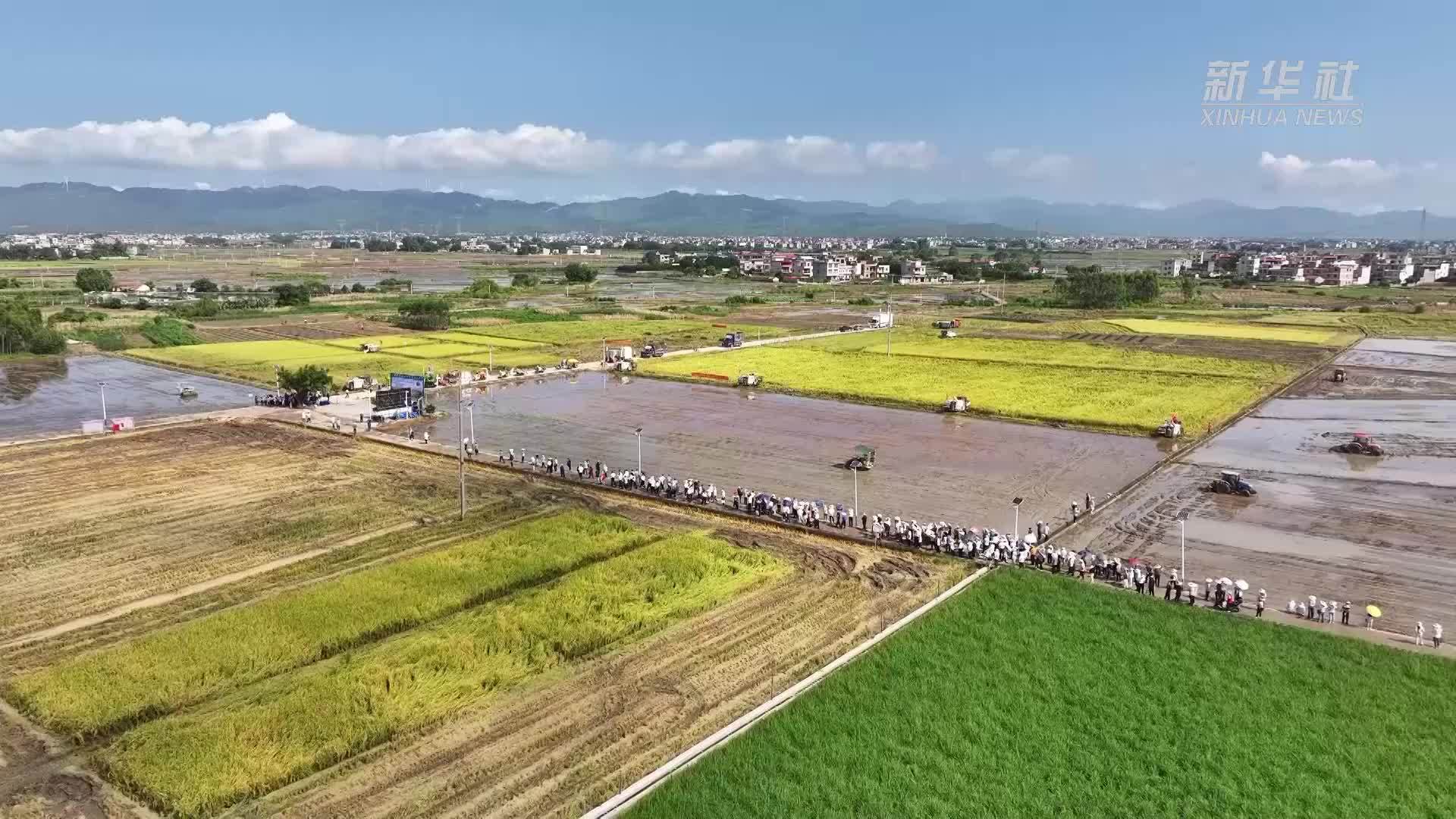 广西：机械化智能化为农业生产插上科技翅膀