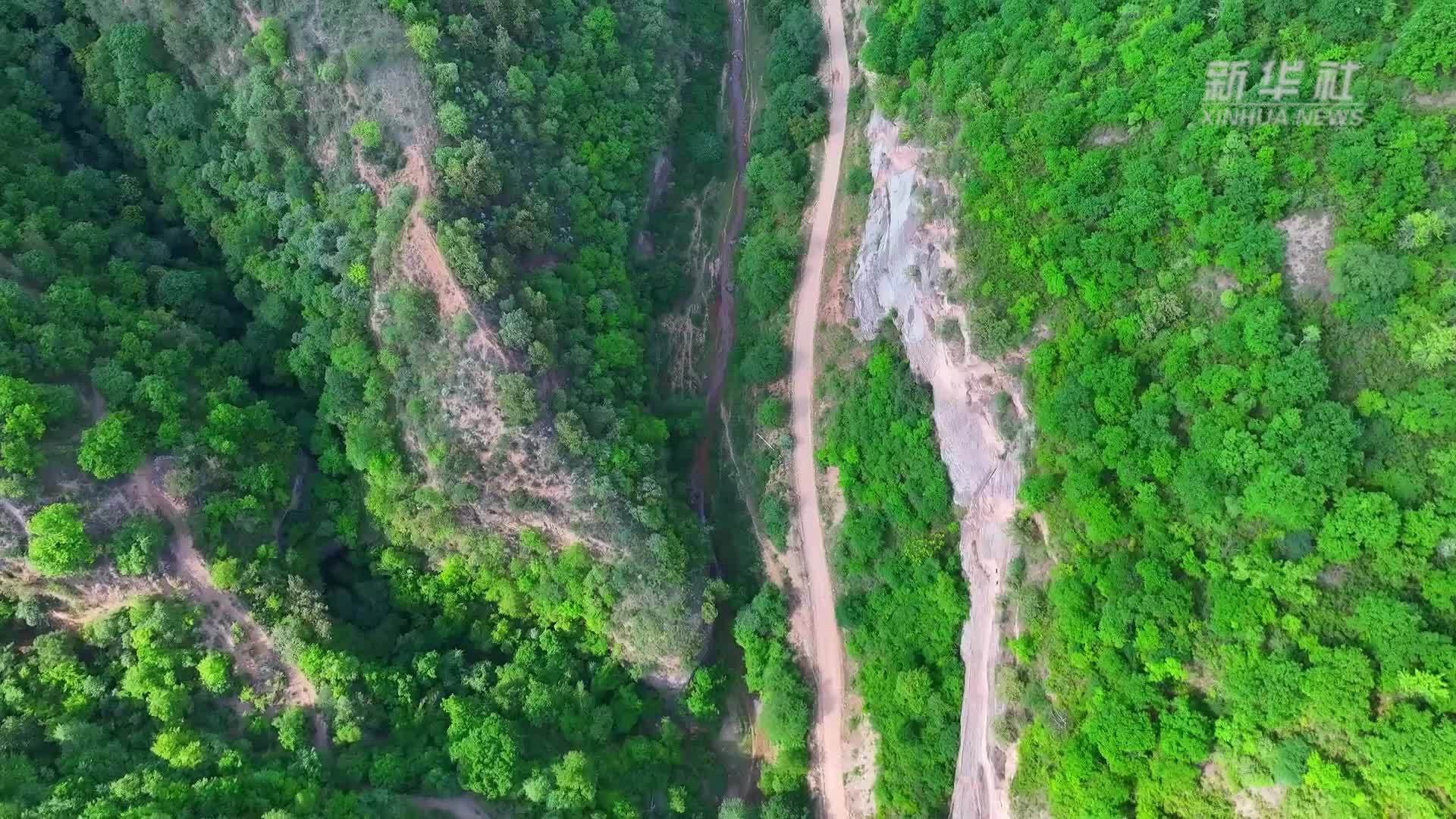 陕西甘泉：首次发现濒危珍禽黑鹳巢居育雏