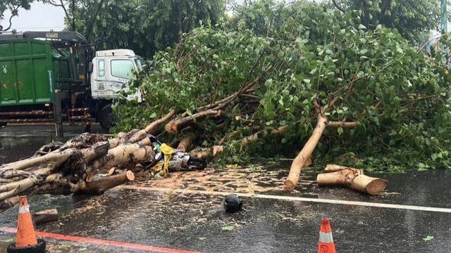 臺風“格美”在臺首例傷亡，高雄老婦遭倒塌行道樹壓住無生命跡象