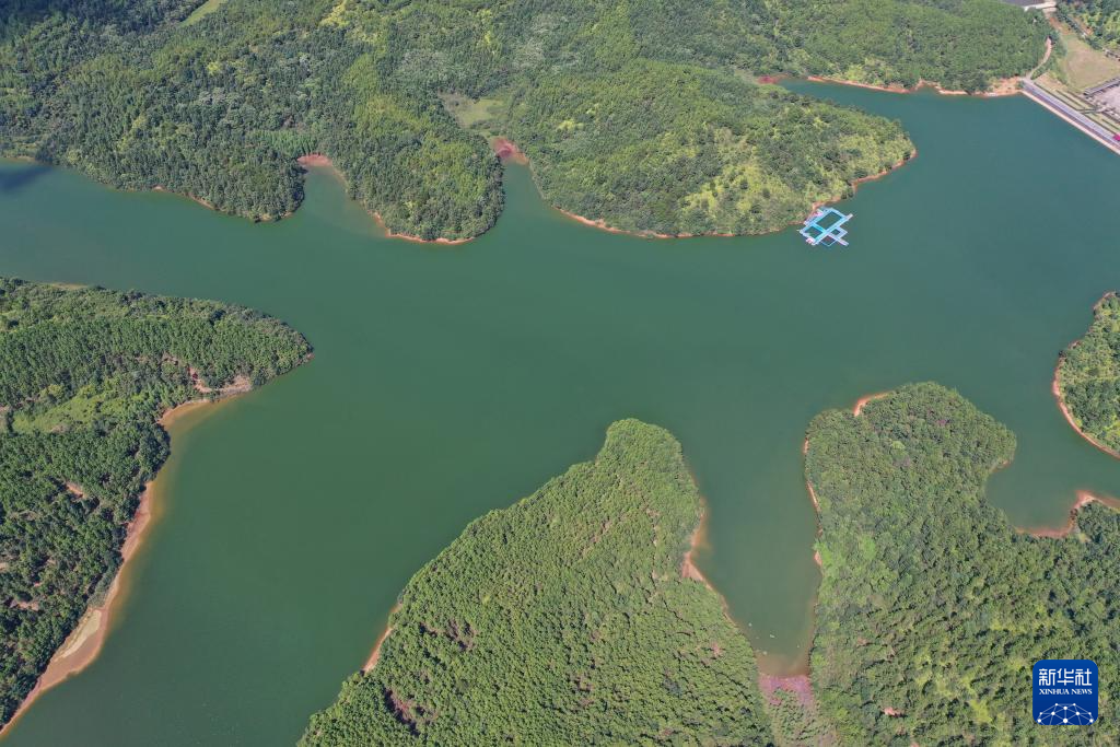 这是江西省抚州市临川区秋溪镇溪山湖水库（7月25日摄，无人机照片）。