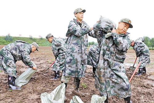 7月25日，涿州市民兵正在开展抗洪抢险训练。本报记者 林凤斌摄