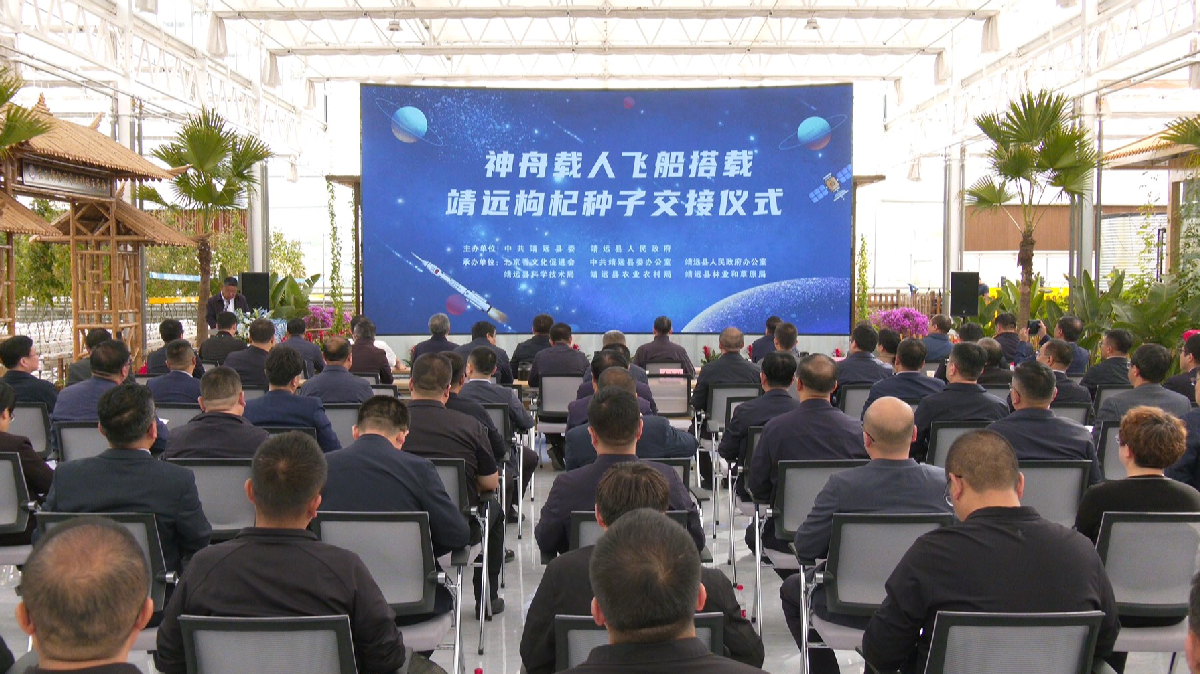 2023年，靖远县争取实施了太空育种试验项目（资料图）。