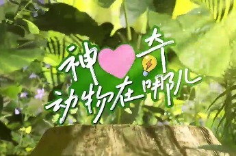 神奇动物在哪儿