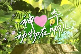 神奇动物在哪儿