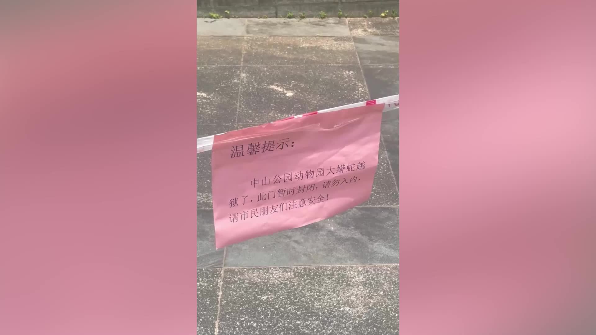 福建龙岩一野生动物保护园蟒蛇出逃，负责人：已报警，还没抓回来