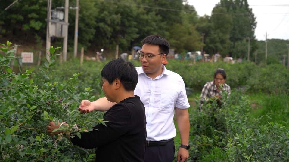 工行平顶山分行工作人员深入田间地头，主动为农户送去普惠金融服务