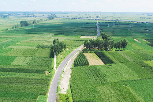 7月17日拍摄的定兴县乡间公路。