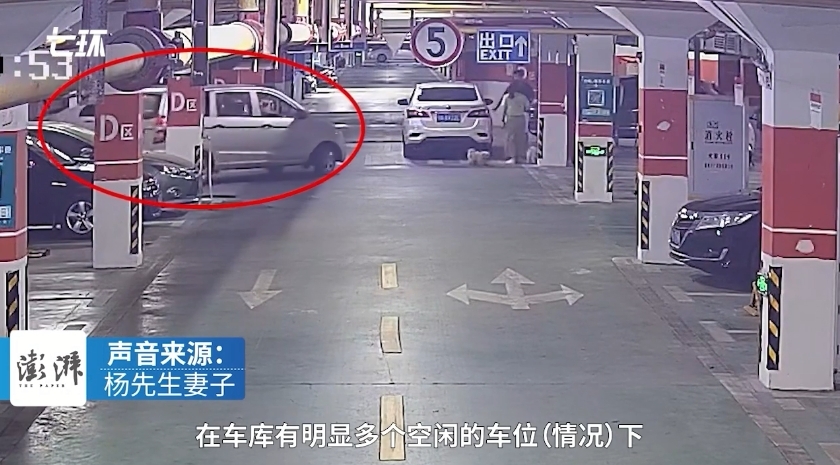 未拴绳狗遭碾压女主人砸车打人 警方：若回武汉会传唤