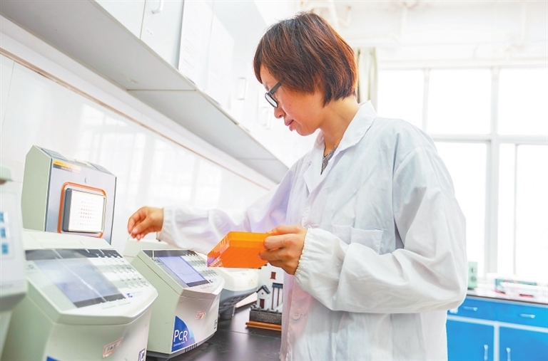 7月16日，江西農業(yè)大學林學院動物保護研究室內，張微微教授正在進行分子生物學實驗。十多年來，她帶領科研團隊專注藍冠噪鹛繁衍生息的研究，并長期野外跟蹤觀察藍冠噪鹛的棲息繁衍狀況。