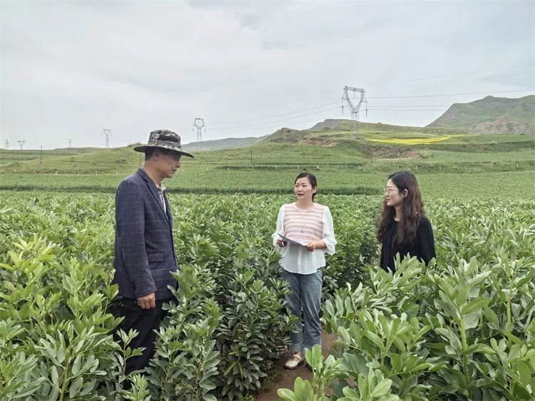 古浪县十八里堡乡纪检监察干部在东庙儿沟村大豆种植基地了解产业奖补政策落实情况