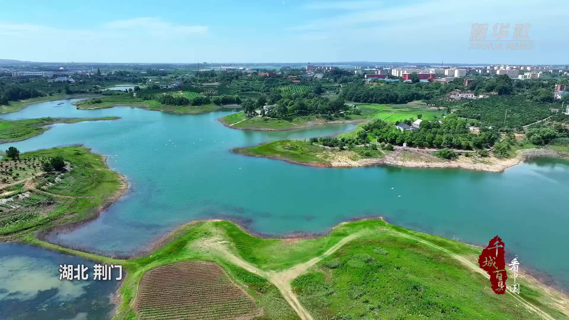 千城百县看中国｜湖北荆门：漳河岸边白鹭飞